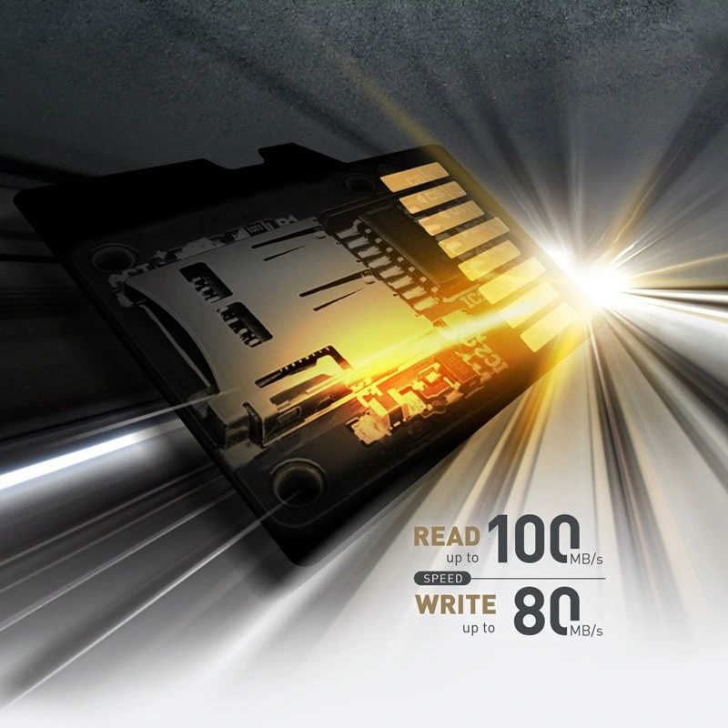 قیمت و خرید کارت حافظه Micro SD سیلیکون پاور ظرفیت 256 گیگابایت مدل High Endurance