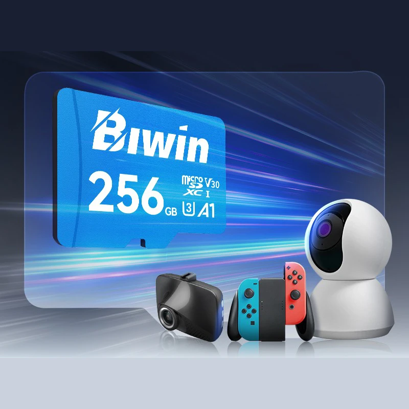 قیمت و خرید کارت حافظه Micro SD بیوین ظرفیت 256 گیگابایت مدل MS100