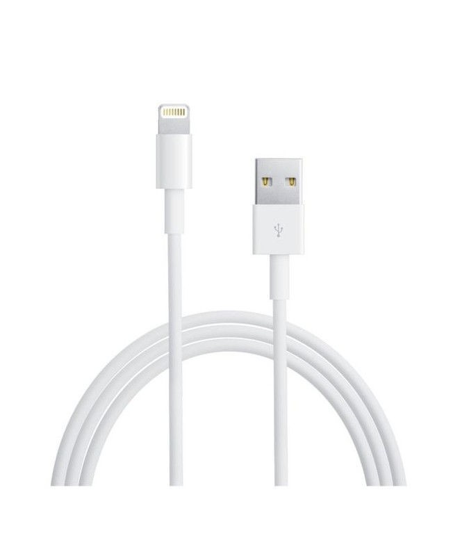 کابل USB به لایتنینگ اپل طول 2 متر A1510